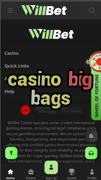 Casino Big Bags - Progressive Jackpot Slot Games-casinoorder.vip