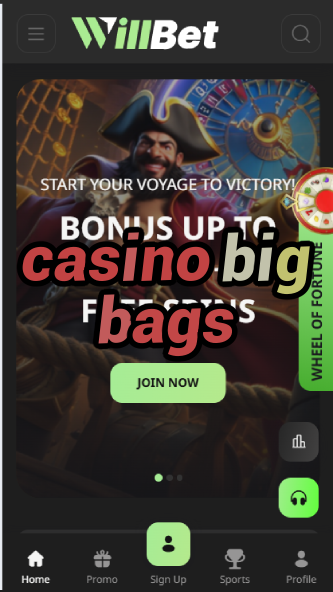 Casino Big Bags - Progressive Jackpot Slot Games-casinoorder.vip